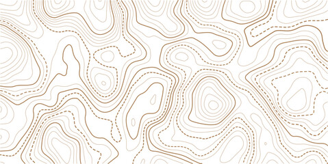 Topographic map background vector design in eps 10