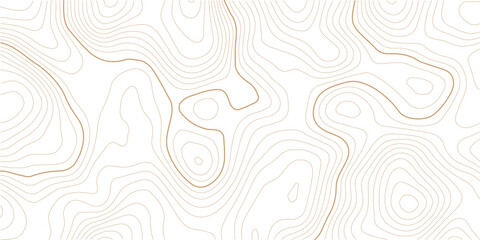 Topographic map background vector design in eps 10