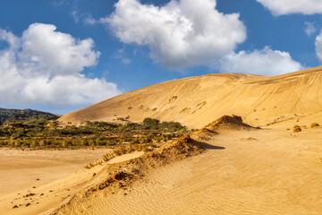 Te Paki Giant Sand Dunes, Northland, New Zealand - a popular spot near Cape Reinga and 90 Mile Beach, where you can hike and sand board.