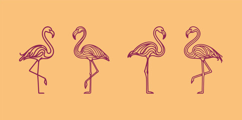 Obraz premium Set of Stylized Flamingo Bird Line Art Illustrations