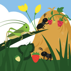 Illustration of a grasshopper and ants eating strawberries and raspberries in a meadow. vector illustration