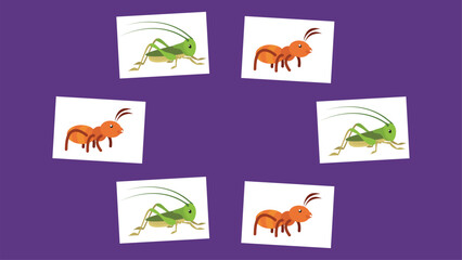 Illustration of various types of insects on white squares on purple background