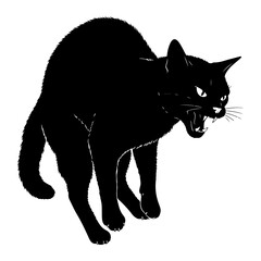Black cat hissing snarling aggressive animal feline