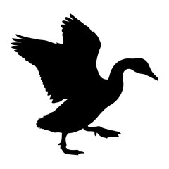 Black duck wings spread mid flight bird silhouette