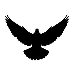 Obraz premium Black silhouette of a dove in flight pigeon bird