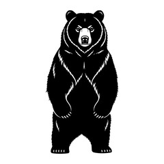 Fierce black bear standing upright animal wildlife