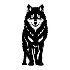 Fierce black wolf standing animal wild