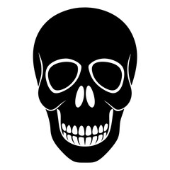 human skull vector