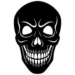 human skull illustration