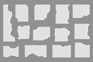 Collection of torn paper scraps with jagged edges ripped