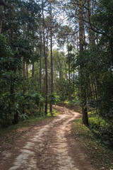 Rural dirt road through mountain forest in Chiang Dao, northern Thailand. Transportation, communication and adventure travel concept.