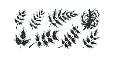 Set of hand drawn botanical leaf sprigs