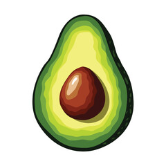 Avocado. Vector illustration. Highlights, shadows, bright design
