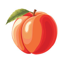Apricot. Vector illustration. Highlights, shadows, vibrant design.