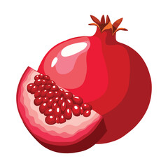 Pomegranate, vector illustration. Highlights, shadows, bright design