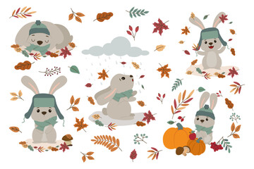 Fototapeta premium Cute Bunny Autumn Activities Vector Illustration