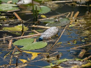 Floating white garbage plastic bottles in the pond