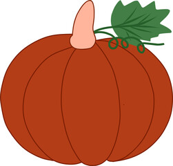 Pumpkin with green leaves vector illustration