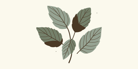 Stylized Illustration of Leaves with Brown Patches on a Light Background
