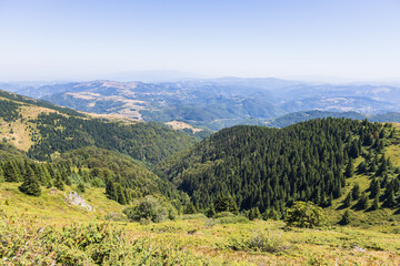 Fototapeta premium Panoramic mountain valley view with rolling hills and evergreen forest