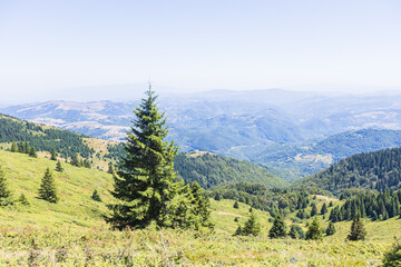 Panoramic mountain valley view with rolling hills and evergreen forest
