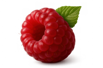 Fresh whole raspberry with green leaf, juicy sweet red berry, healthy eating summer fruit, transparent background