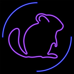chinchila neon sign, modern glowing banner design, colorful modern design trends on black background. Vector illustration.
