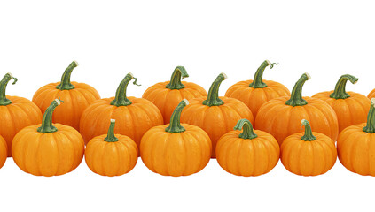 Obraz premium A line of bright orange pumpkins with green stems displayed on a clean isolated transparent