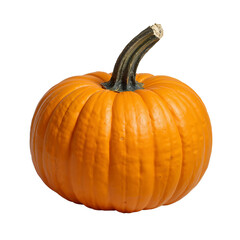 Vibrant orange autumn squash with sturdy green stem presented in high resolution and isolated