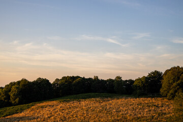 autumn landscape with a field