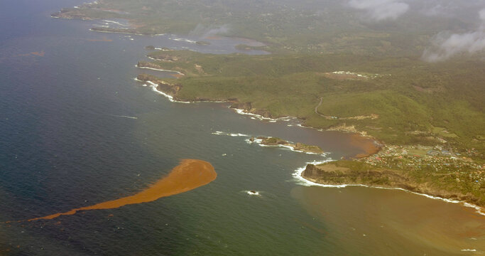 A Sargassum slick off the coast of St Lucia. Sargassum is a genus of brown macroalgae (seaweed). An aerial photograph.