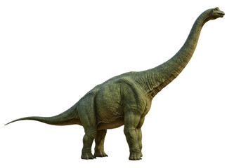 Isolated Brachiosaurus dinosaur standing tall with a long neck, against a simple backdrop © Marigold