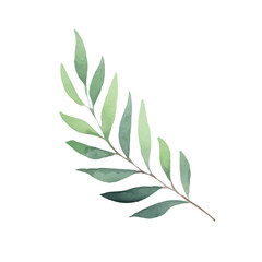 Watercolor viburnum branches, leaves, red berries. Festive New Year illustration, Vector isolated template for cards, decor and seasonal designs.