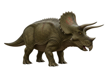 Isolated Triceratops dinosaur standing side view with horns and frill, animal isolated © Marigold