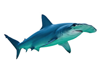 Isolated Great Hammerhead Shark swimming, large dangerous marine predator, head shape