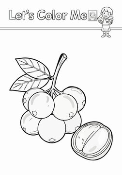 Drawing a single page about duku