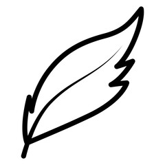 Feather line icon
