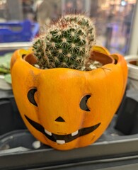 Vista de cerca de cactus en maceta con forma de calabaza de Halloween con cara sonriente en estante...