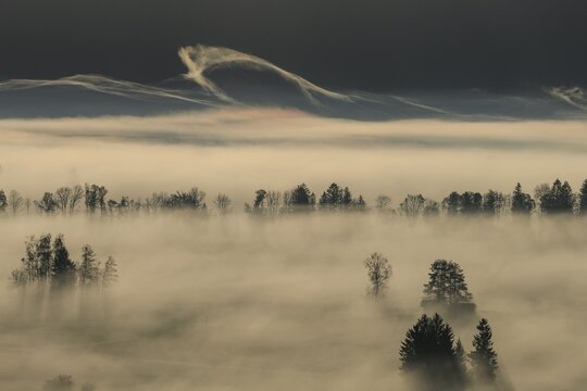Foggy mood, fog, morning light, backlight, autumn, Loisach-Lake Kochel-Moor, foothills of the Alps, Bavaria, Germany