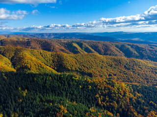 Fototapeta premium Aerial view with yellowed forests on mountains and valleys in autumn. Fall forested mountains seen from above