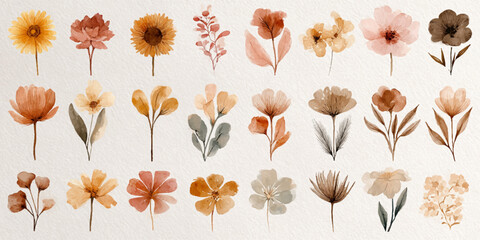 Collection of dried flowers and leaves in various warm earthy tones isolated on white background