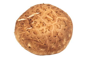 Shiitake mushrooms sliced and chopped on white background, fresh ingredient for cooking