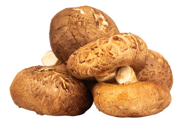 Shiitake mushrooms sliced and chopped on white background, fresh ingredient for cooking