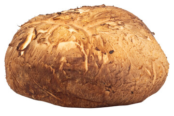 Shiitake mushrooms sliced and chopped on white background, fresh ingredient for cooking