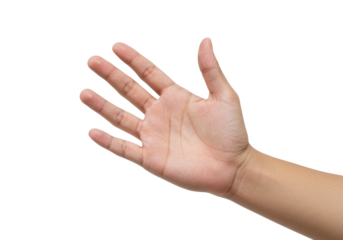 Isolated human open palm with fingers extended in gesture against neutral backdrop