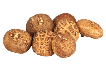 Shiitake mushrooms sliced and chopped on white background, fresh ingredient for cooking