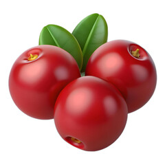 Isolated cranberry clay