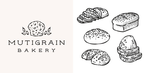 multigrain bread loaf bakery with whole-wheat seed logo design and collection of multigrain bakery product hand drawn illustration element set