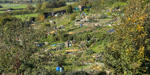 Traditional British garden allotments, United Kingdom. An allotment is a plot of land, used to grow fruits, vegetables, and flowers.