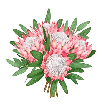 Floral bouquet of proteas